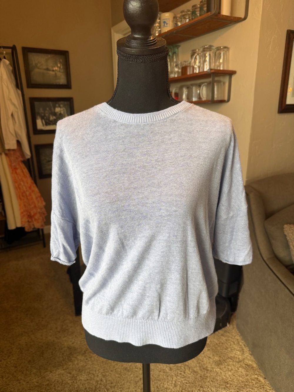 Banana Republic Light Blue Short Sleeve Knit Pullover